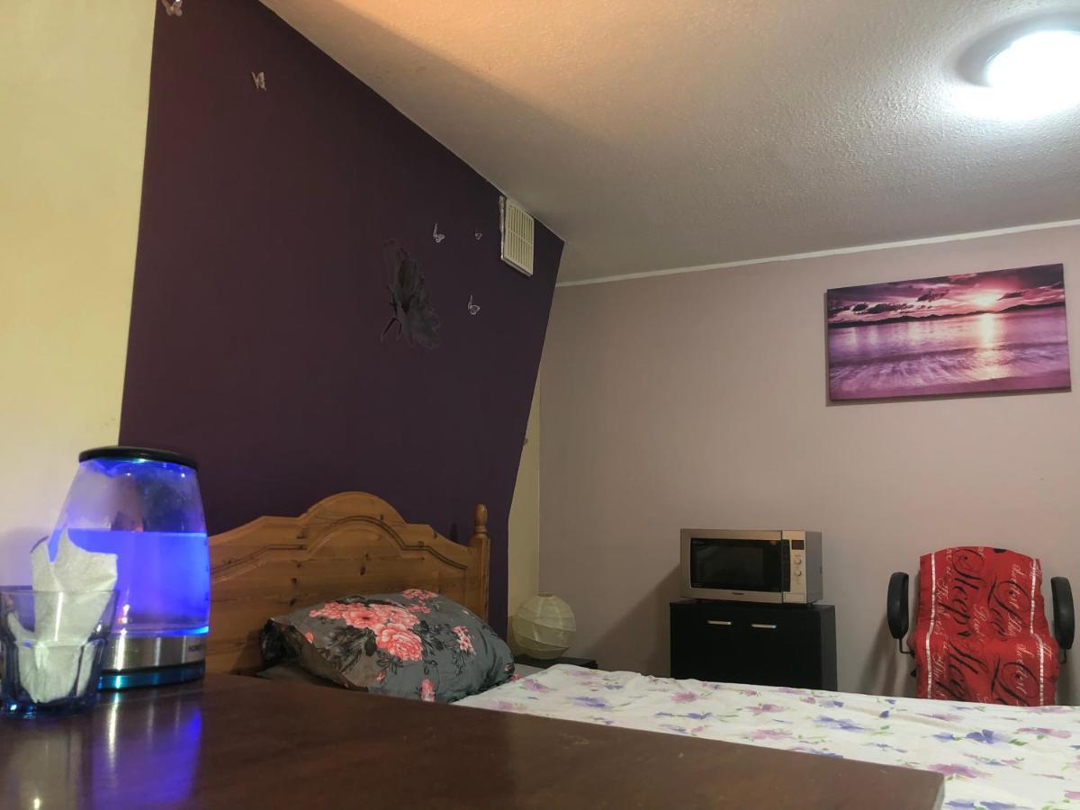Apartamento Single Large Room Hastings Esterno foto